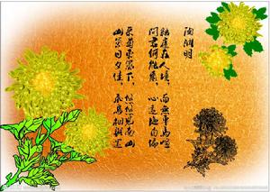 南鄉子·詠棣棠菊 南鄉子·詠棣棠菊