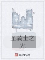 聖騎士之光 聖騎士之光