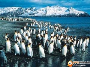 南北極倒計時：消逝原因是溫室效應導致冰帽融化