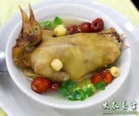 芪杞燉乳鴿 芪杞燉乳鴿