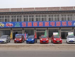 山東寶雅新能源汽車股份有限公司 山東寶雅新能源汽車股份有限公司