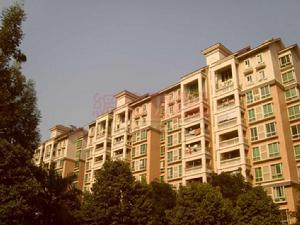 東怡新區 東怡新區