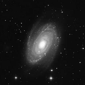 M81