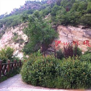 灌雲大伊山 灌雲大伊山