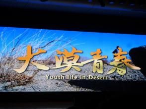 大漠青春 大漠青春