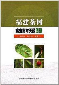 福建茶樹病蟲害與天敵圖譜 福建茶樹病蟲害與天敵圖譜
