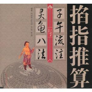 靈龜八法 靈龜八法