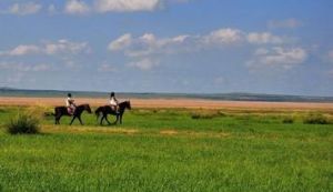 安固里淖草原旅遊區 安固里淖草原旅遊區