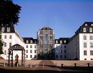 日本岩木明星大學 日本岩木明星大學