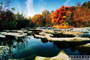 付直武作品虎爪山秋韻