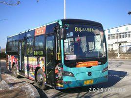 阜新8路 阜新8路