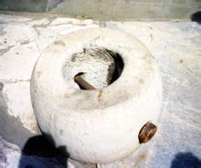 各種角度的珍妃井