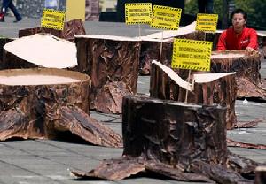 墨西哥綠色和平組織成員在墨西哥城革命廣場舉行抗議伐木活動