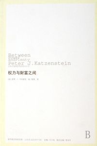 權利與財富之間 權利與財富之間