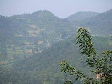 板桑自然村 板桑自然村