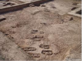 山西絳縣周家莊遺址 山西絳縣周家莊遺址