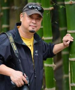 張禾[軍旅畫家]