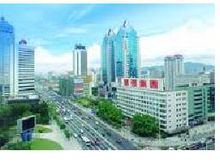 深圳華強集團有限公司