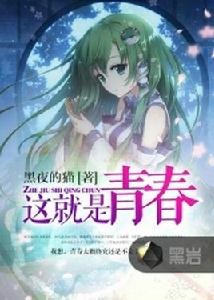 這就是青春[黑岩網小說]