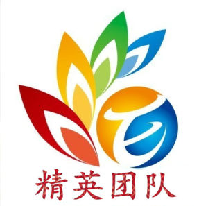 維邁精英團隊 維邁精英團隊