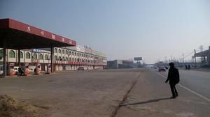 桑莊村[山東省郯城縣馬頭鎮桑莊村]