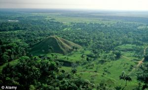 二十世紀中期，阿亞帕涅科語的消亡速度達到頂峰