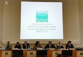 第十四屆濕地公約締約方大會 第十四屆濕地公約締約方大會