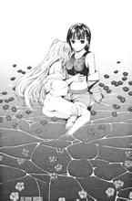 碧城花影抄 碧城花影抄