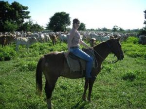 南馬托格羅索州 南馬托格羅索州