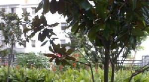 新潮時代 新潮時代