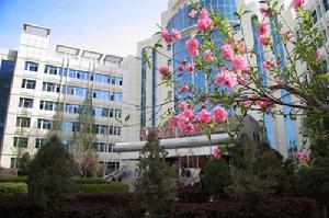 新疆生產建設兵團農一師醫院 新疆生產建設兵團農一師醫院