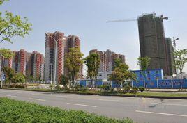 桃花源街道 桃花源街道