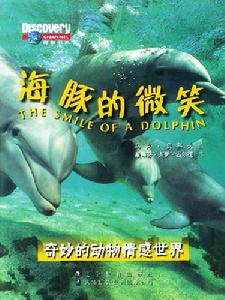 奇妙的動物情感世界：海豚的微笑