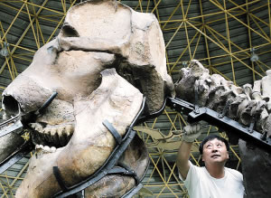 榆社化石博物館