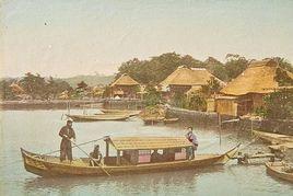 蛋白相紙 蛋白相紙