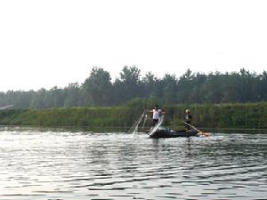 洪湖濕地自然保護區