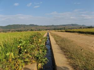 （圖）坪子農業綜合開發 