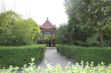 鹿邑縣人民醫院