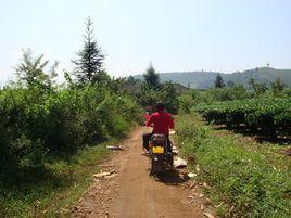 邦崴村[雲南普洱瀾滄縣惠民鄉富臘村委會下轄村]