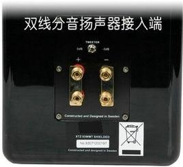 雙線分音 雙線分音