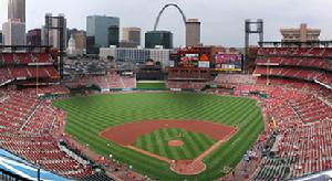 聖路易斯紅雀 聖路易斯紅雀