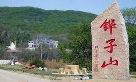 鏵子山森林公園 鏵子山森林公園