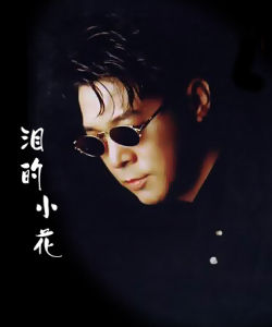 《淚的小花》 《淚的小花》