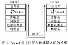 socket[計算機專業術語]
