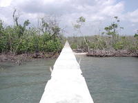 德桑巴爾科國家公園 德桑巴爾科國家公園
