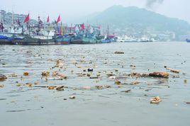 海洋傾倒 海洋傾倒