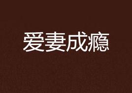 愛妻成癮 愛妻成癮