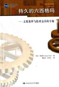 持久的六西格瑪 持久的六西格瑪