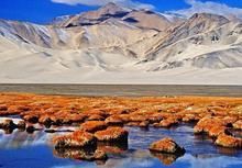 帕米爾地區 帕米爾地區