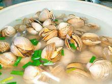 原汁白蛤